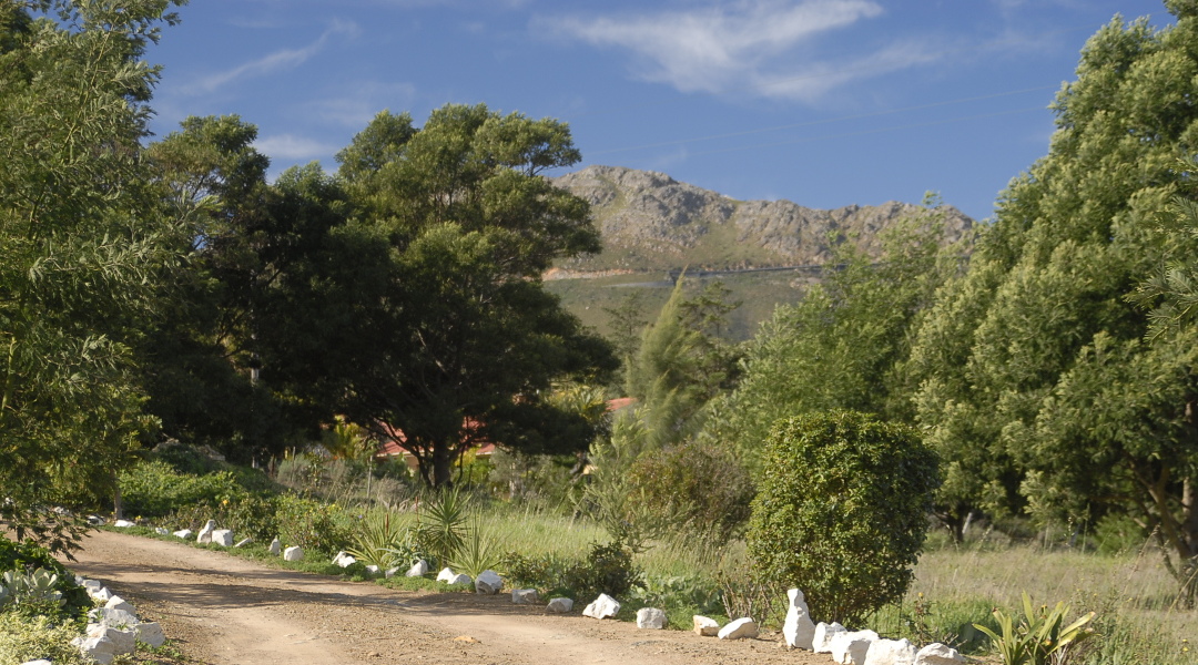 Hottentots-Hollands-Mountains