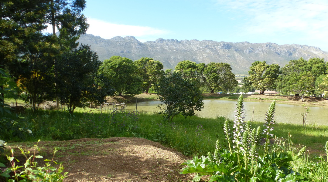 Hottentots-Hollands-Mountains